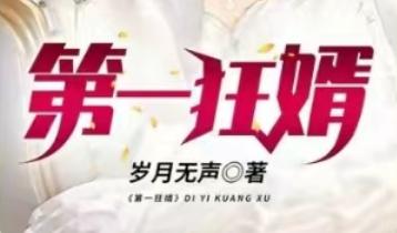 书荒推荐无脑爽文完结,书荒搞笑完结小说