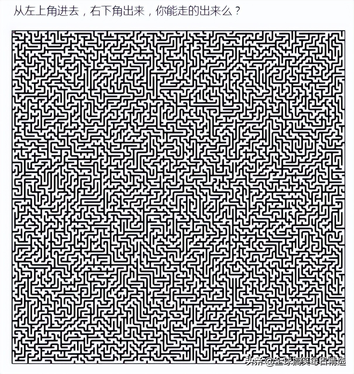 神回复：这是室友煮的汤看着像巫婆汤，千万别喝，你没王子来亲吻