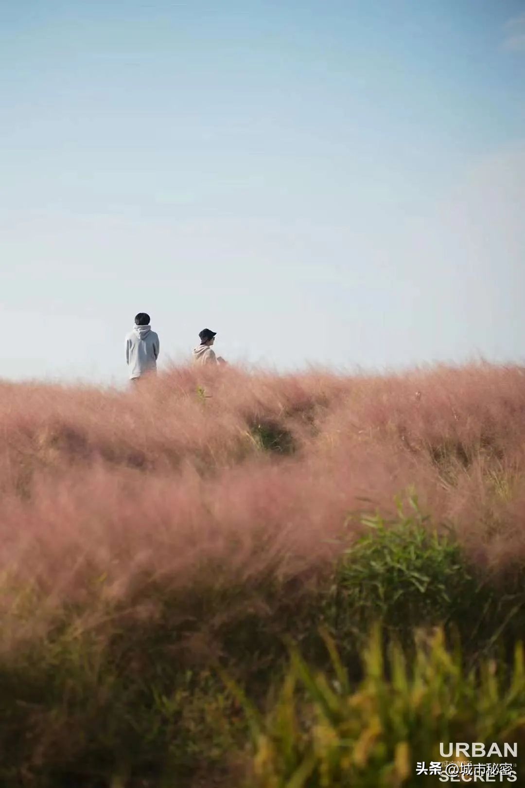 这个被赵露思带火的杭州小乡镇究竟有什么魅力？引来无数网友打卡