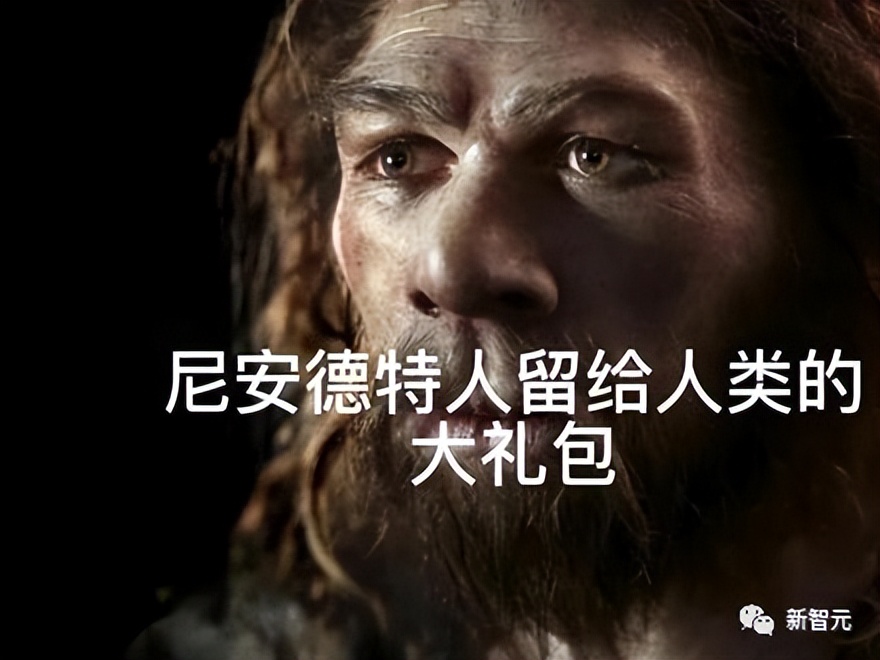 迭代后首波实测！360智脑一键联网，代码超强，AI诈骗一眼看穿