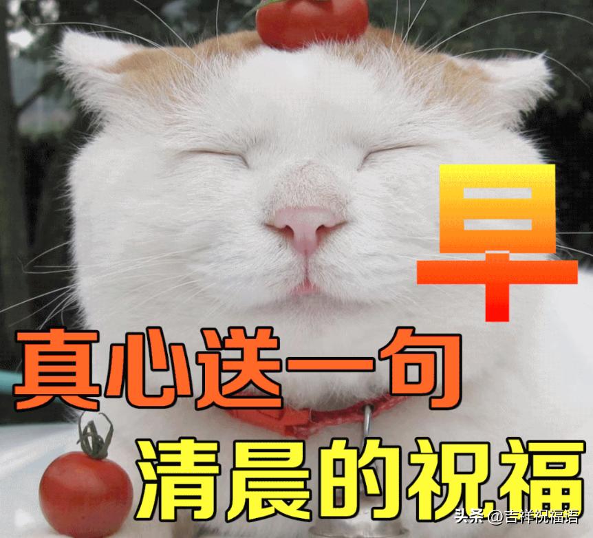 秋季天凉早上好表情包,早上好表情包健康快乐