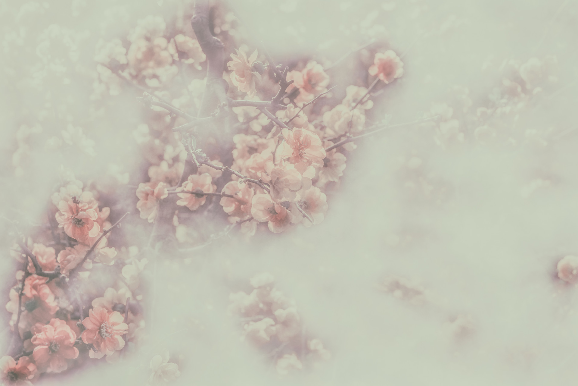 你的脸上写着大富大贵,你的脸上都写着优秀