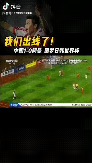 中国足球十大进球,中国足球十大经典进球