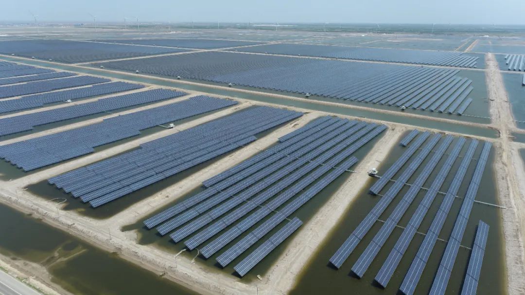 水产养殖助增收产业振兴显成效,滨海县产业扶贫