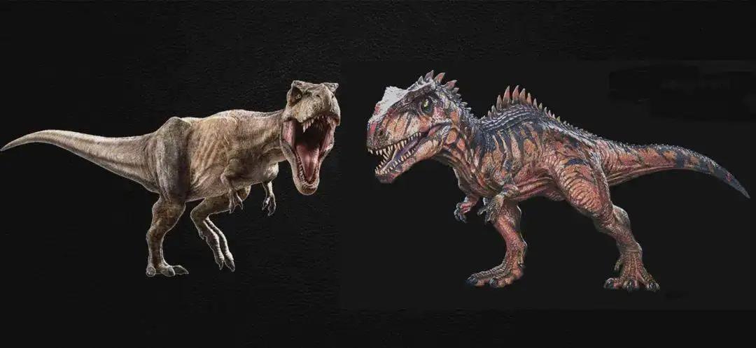 海洋的庞然大物蓝鲸,地球进化史上最大的生物