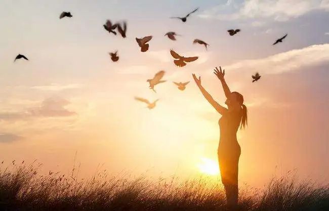 嫁了个妈宝男婆婆又特强势怎么办,婆婆太强势老公又是个妈宝男