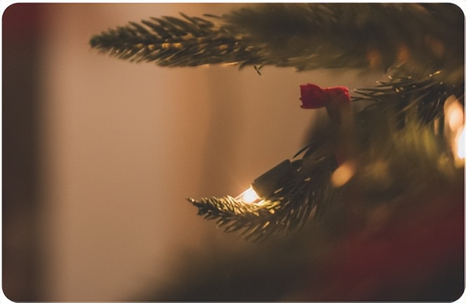 毕业论文开题答辩经验分享知乎,毕业论文开题答辩致谢部分