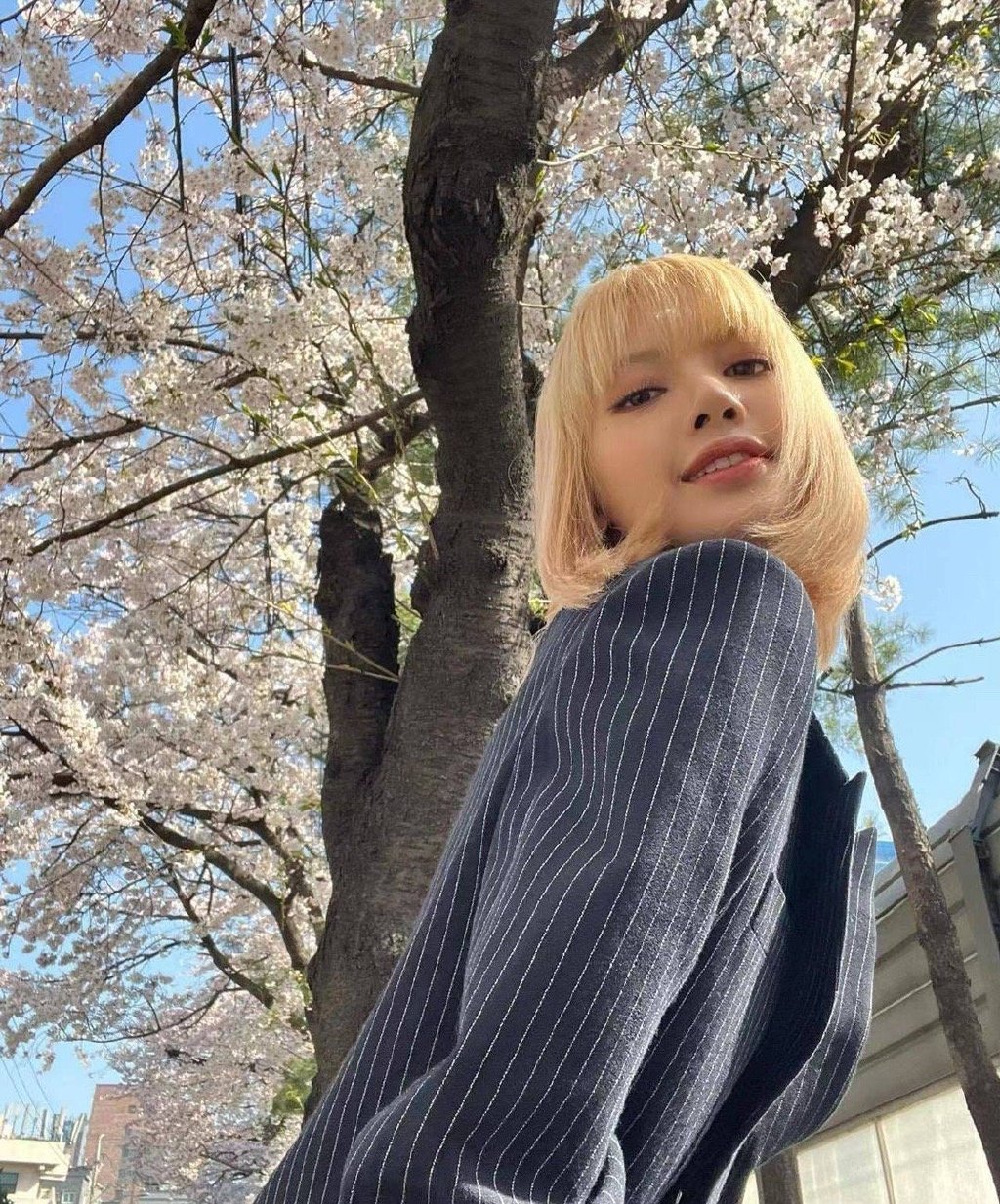 lisa晒衣服,lisa晒春游