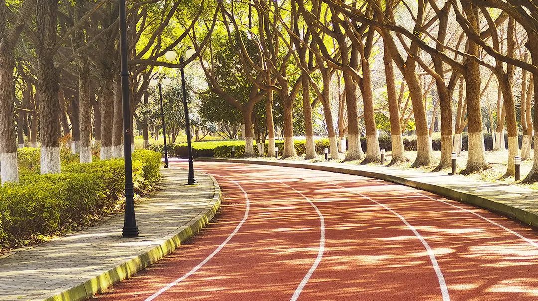 九年鸡娃，我找到了一条“最简便”的英语之路