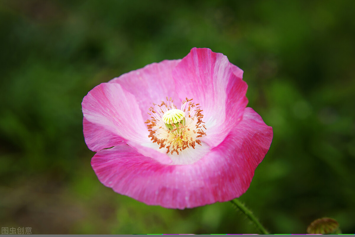 人生感悟文案短句干净治愈,微信个性签名文案短句干净治愈