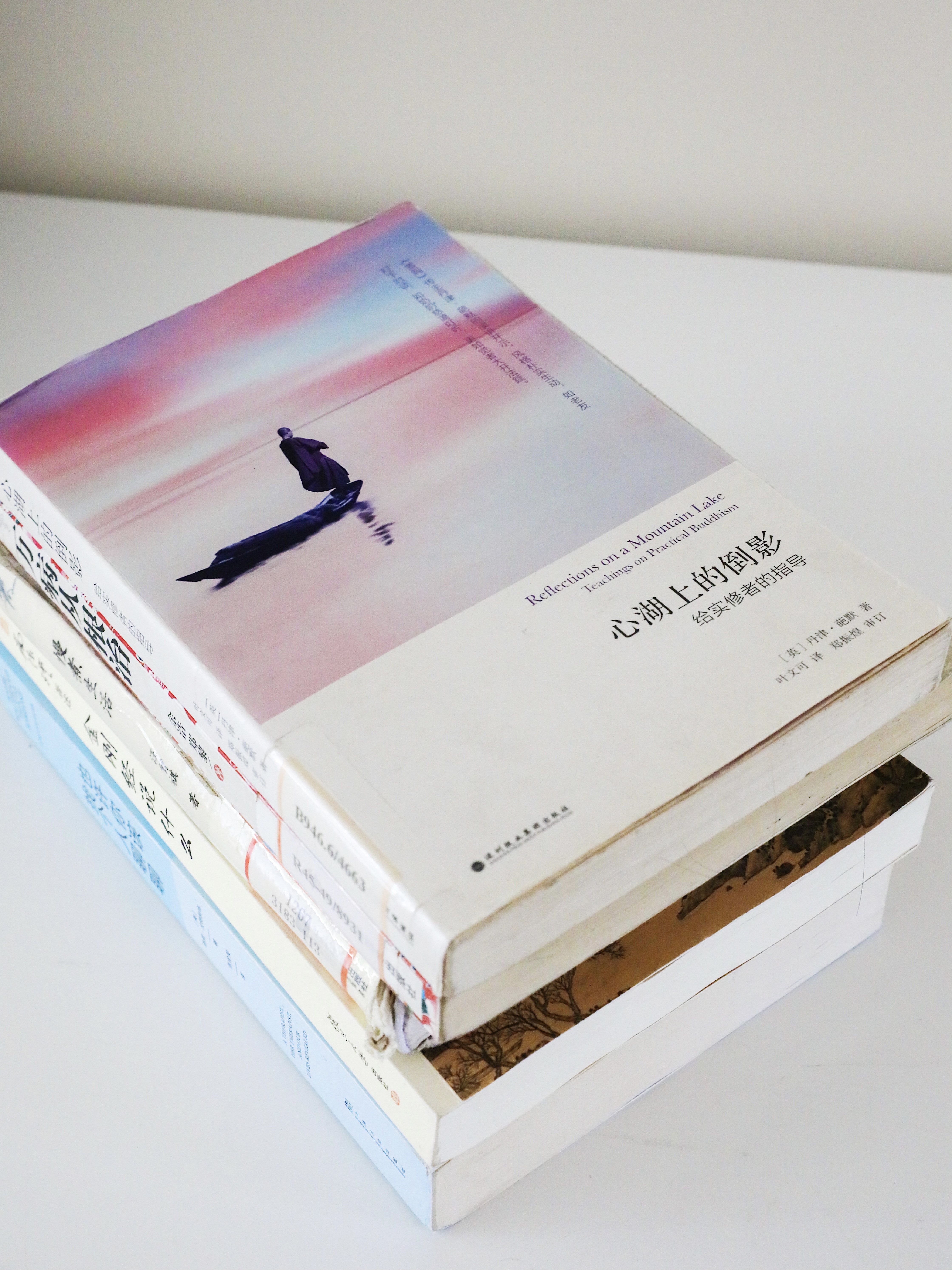 疫情在家看的书,疫情在家阅读的书籍