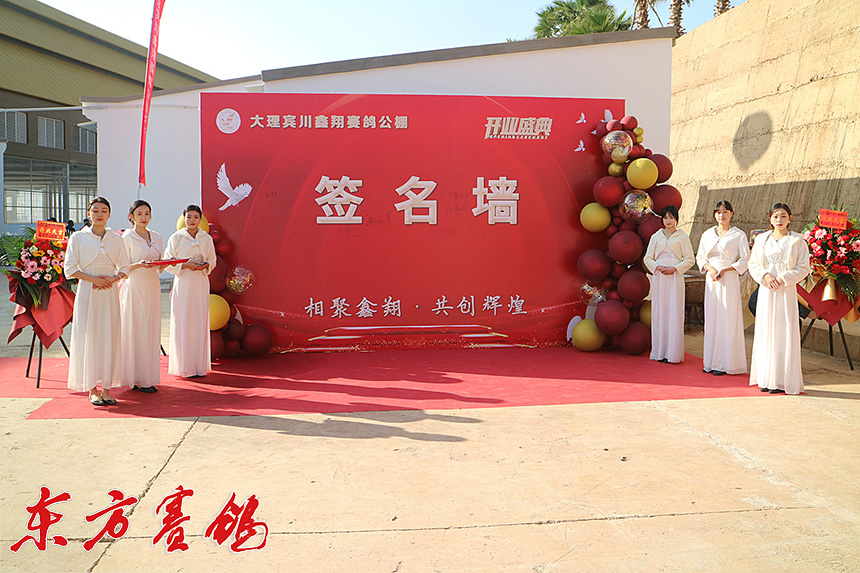 云南大理鑫翔公棚,大理宾川鑫翔公棚规程