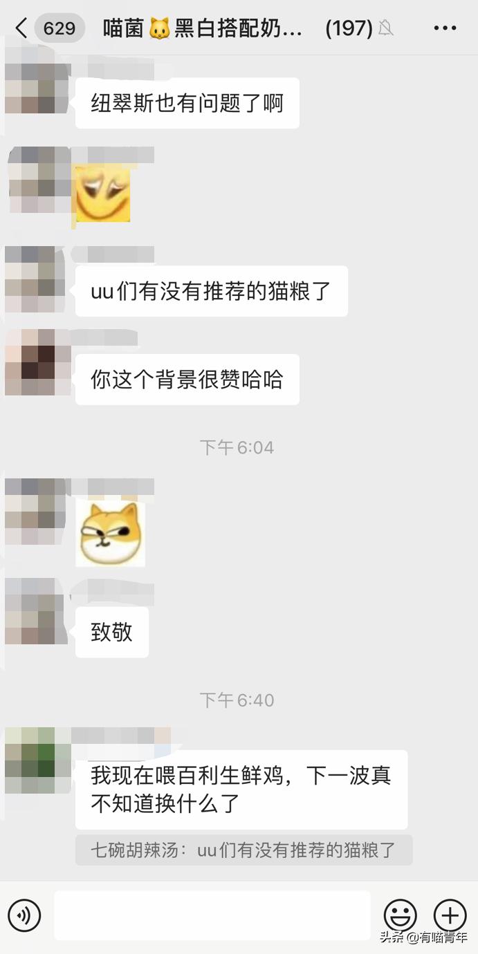 被央视曝光的猫粮,进口猫粮与国产猫粮能掺起来吃吗