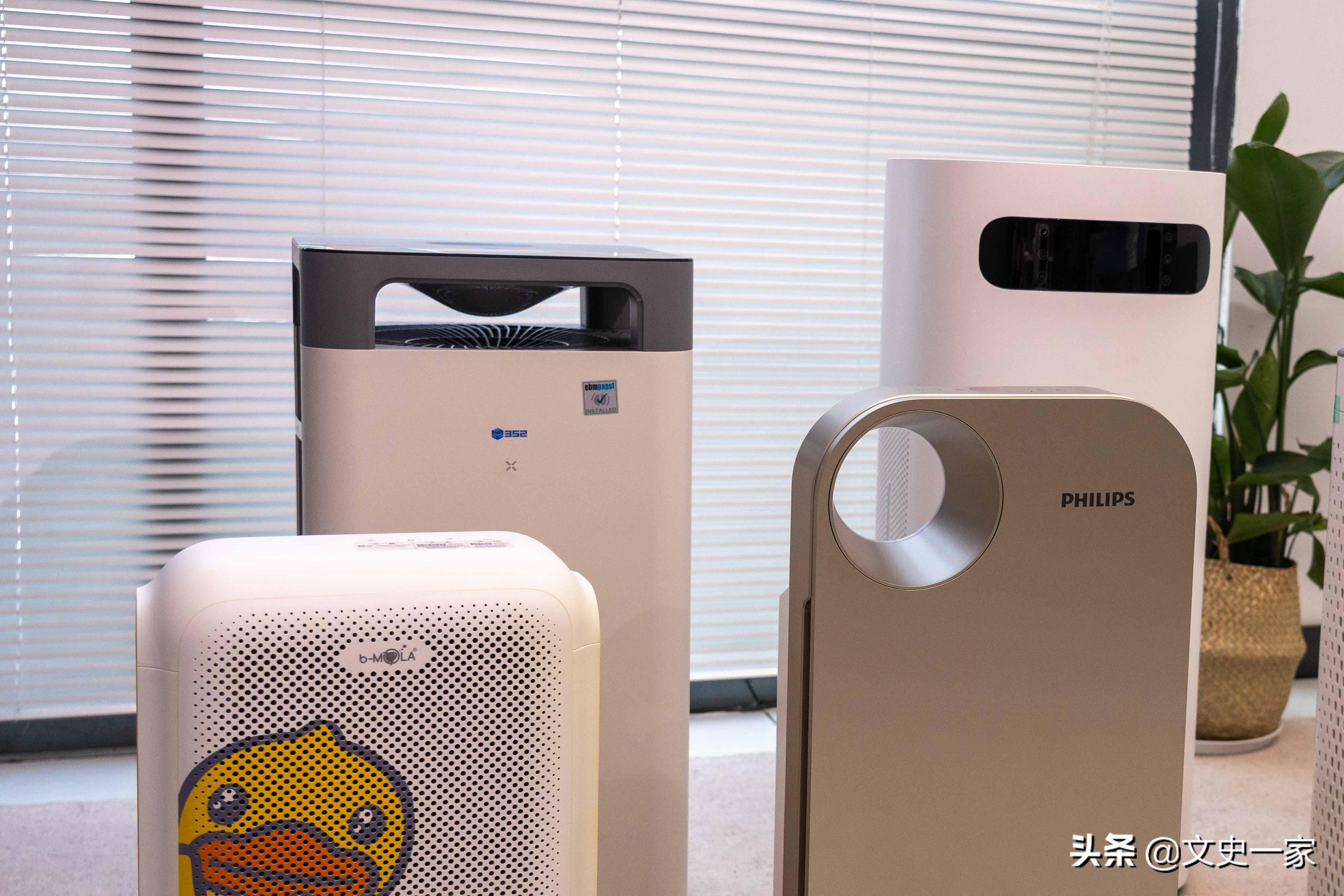 亲测有效的3个去甲醛方法，不用花多少钱，装修过后10天就能入住