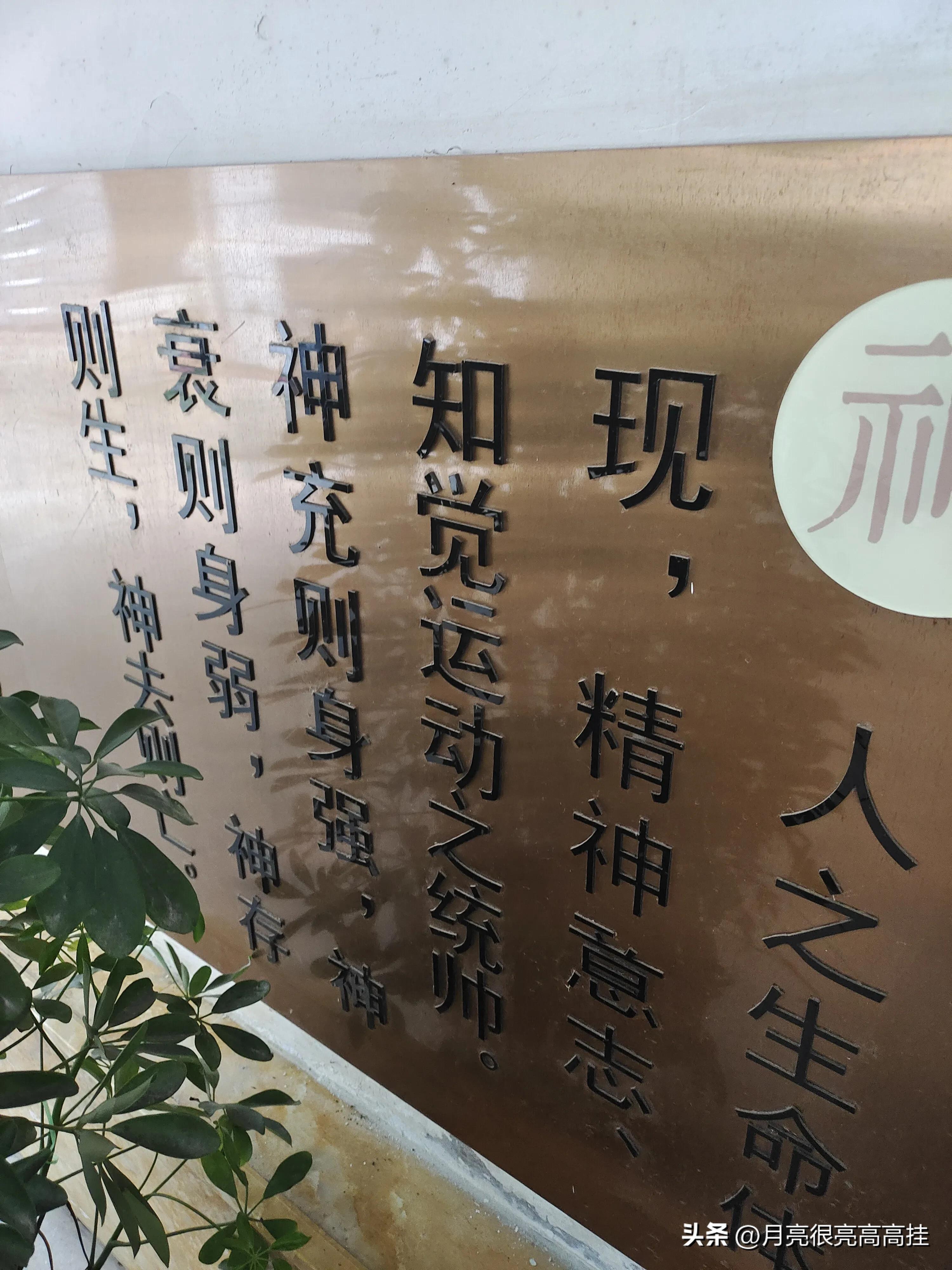 记录我治疗颈椎病的一次经历