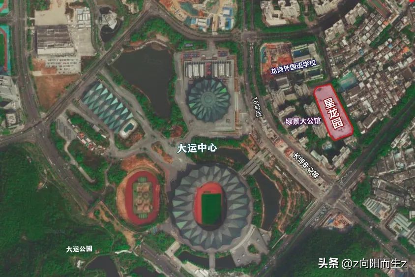 龙岗星龙园,大运星龙园