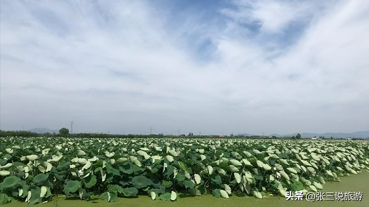 被誉为“东赢胜境”的县,地处江苏东北部,来的人说适合养老