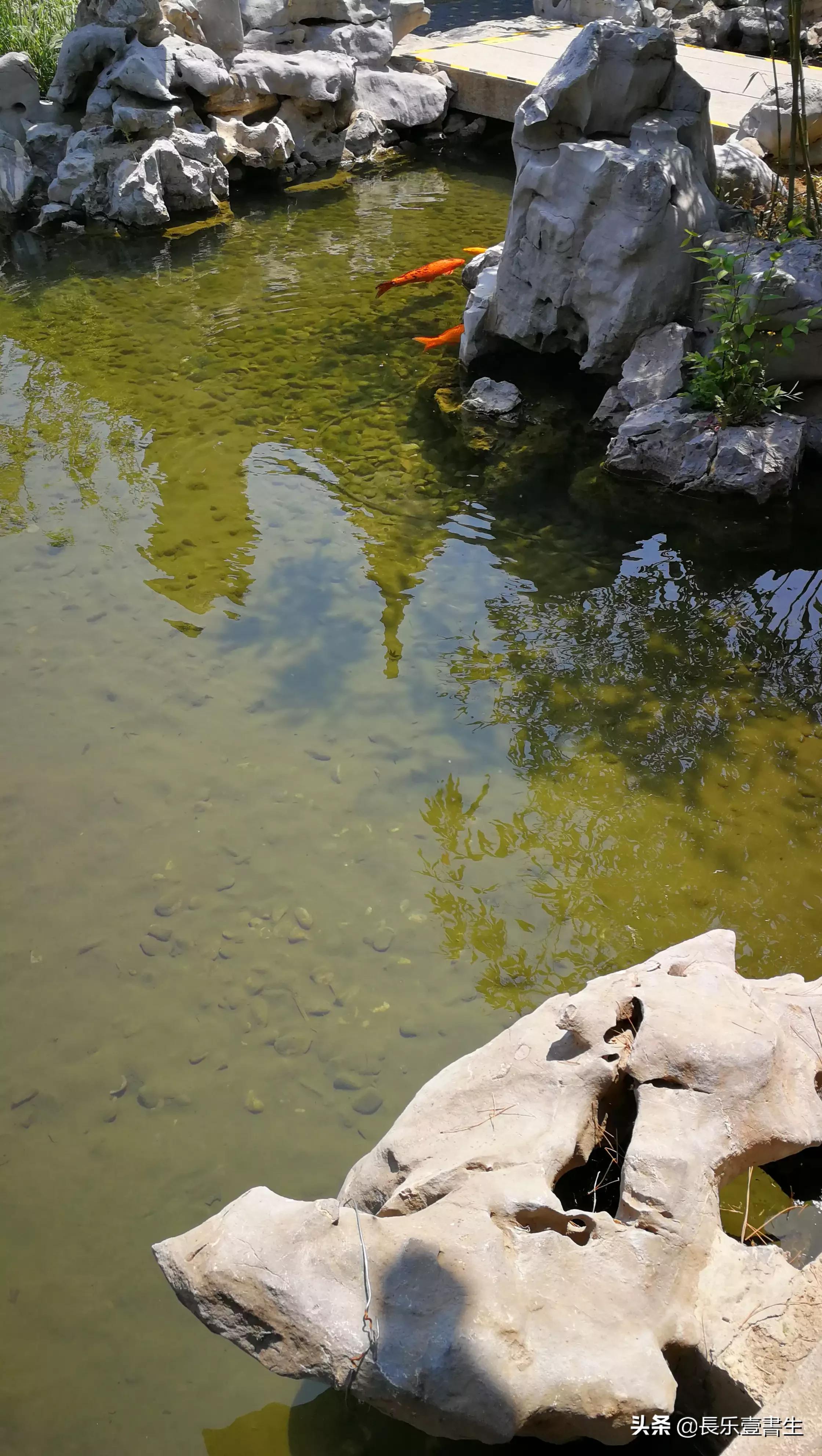 中国园林博物馆游览时间表,小众游玩强烈推荐北京园林博物馆