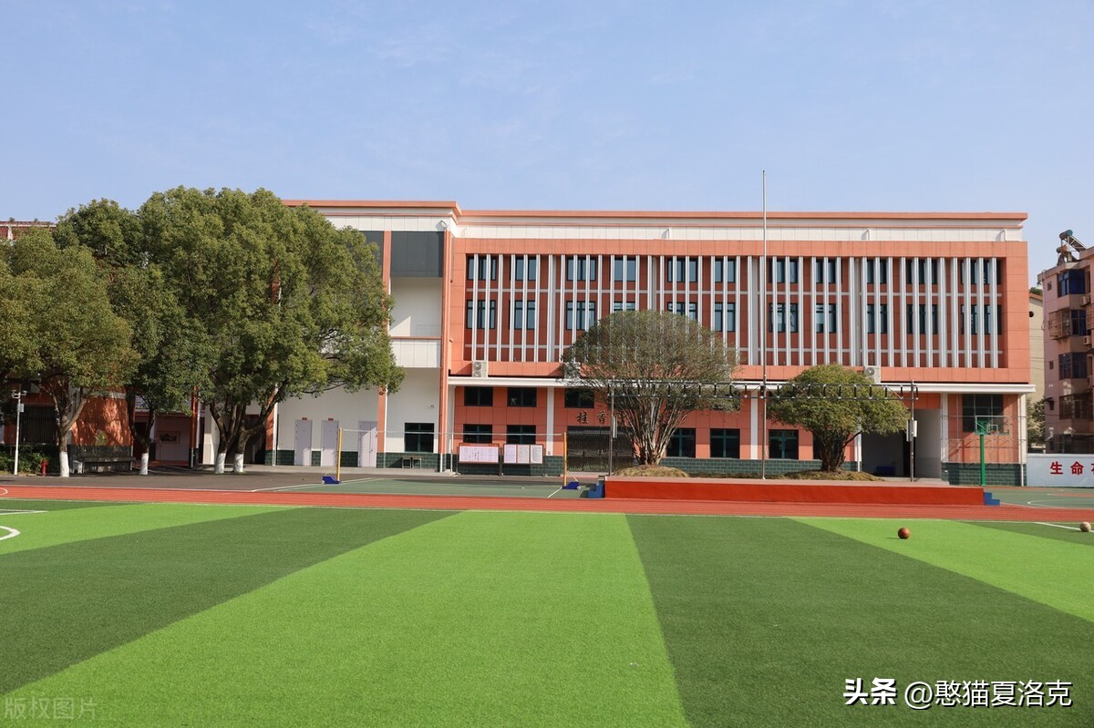 世界杯的草坪是真草吗,世界杯足球场草皮是硬的还是软的