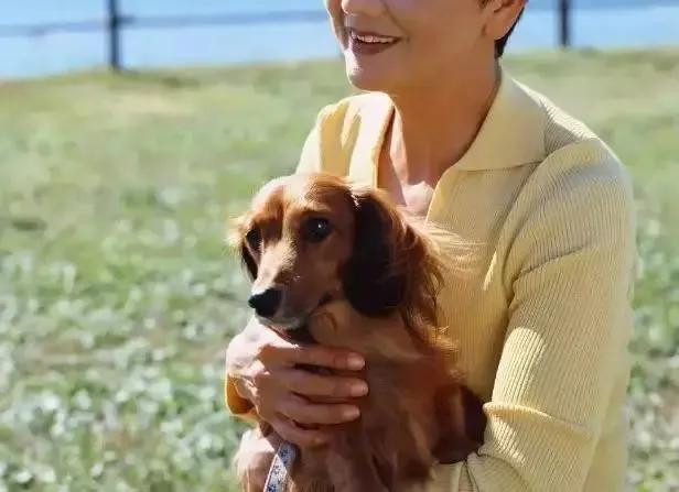 孩子想养宠物怎么办,孩子想养小狗该不该阻拦