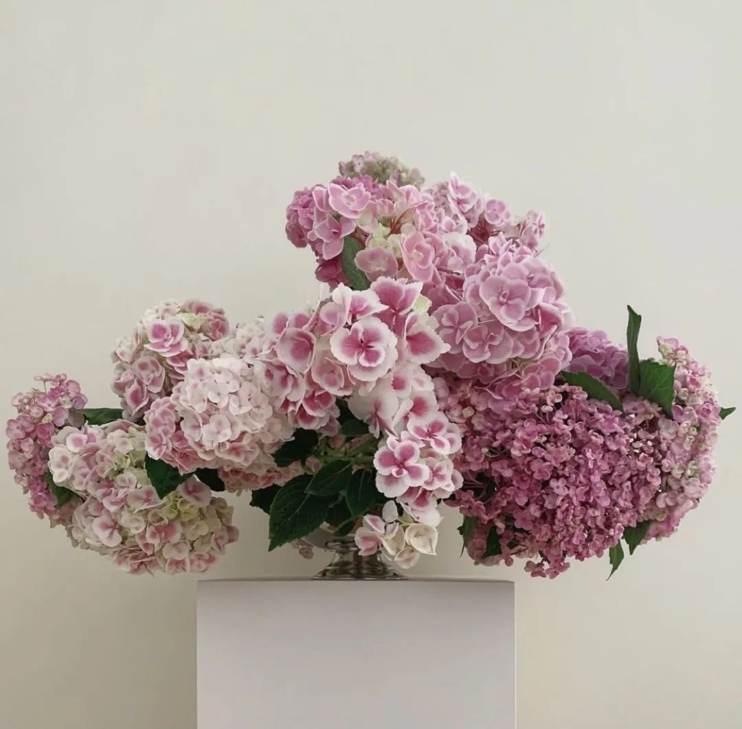 花店怎么快速开花,开网上花店的步骤