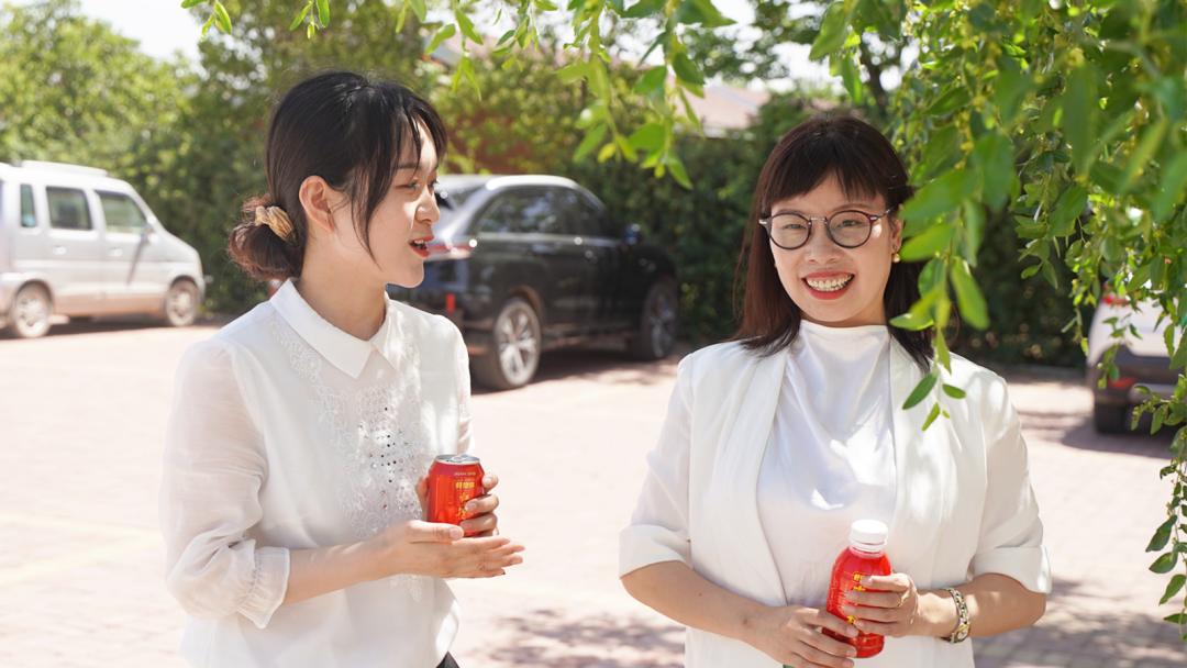 枣香枣情话芒种：中国红枣的“好想你”价值和情怀