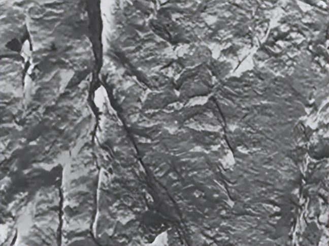 Ta和Re对NiNi3Al相界面断裂强度和蠕变强度的作用