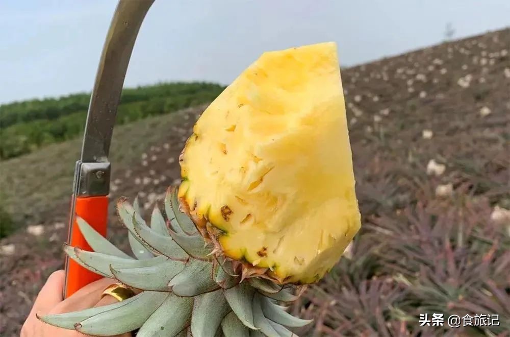 甜脆金钻凤梨,纯甜金钻凤梨菠萝