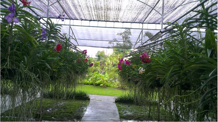 西安出发外省自驾游攻略三日游,北京到西安自驾游攻略最佳路线