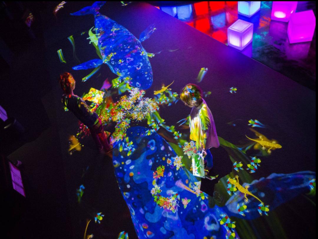 幼儿园门厅冬趣环创布置创意,幼儿园门厅墙面环创布置创意