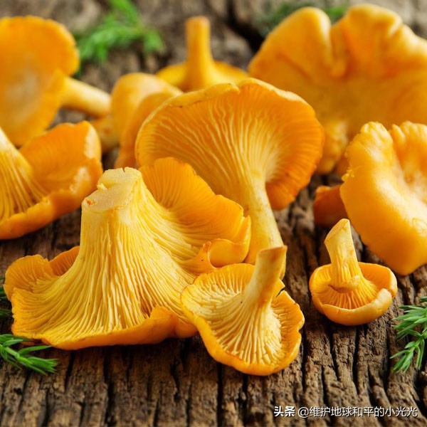 怀念儿时的美食,怀念东北食物