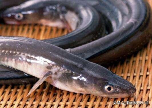 冬天吃鱼的好处三种鱼不要多吃,秋冬吃什么鱼最好