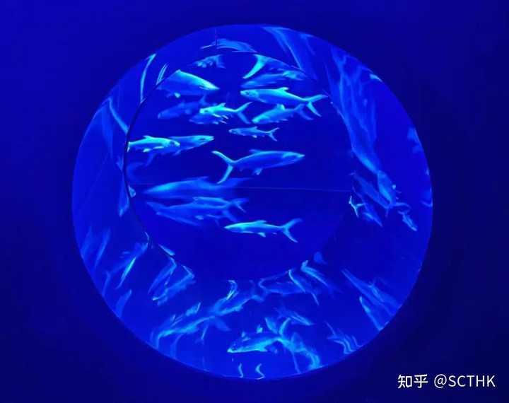 香港十个必逛之处,香港10大必去景点排行榜