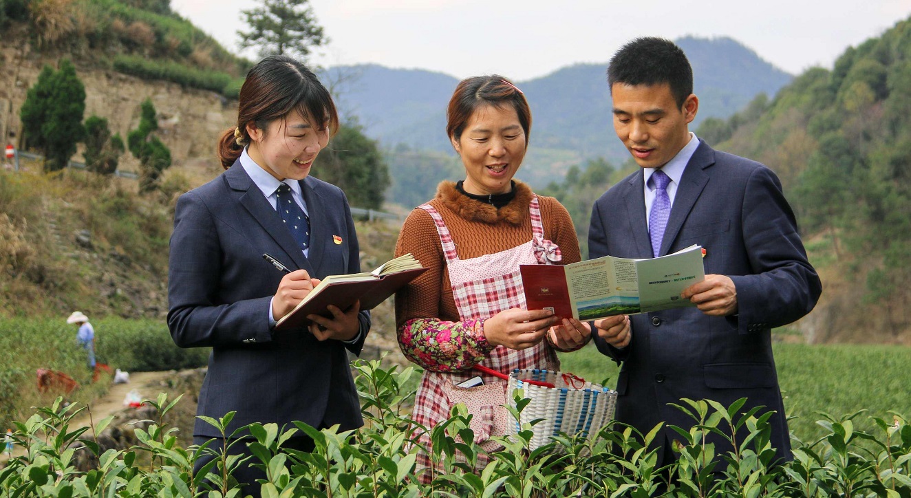 浙江农信改革的方案是什么,深化农信社改革试点的意见