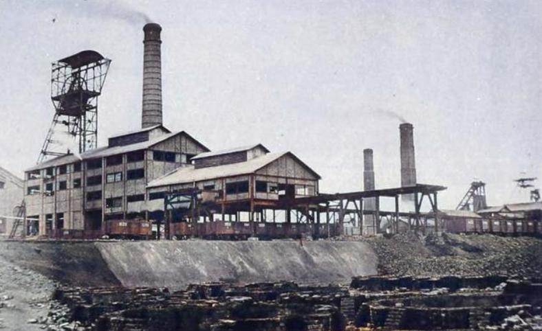 买办的现状,买办行业的现状