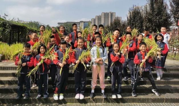 西安市碑林区小雁塔小学摸底,碑林区小雁塔小学