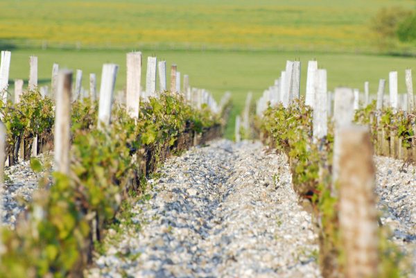 玛歌酒庄干红葡萄酒价格表2002,法国玛歌酒庄品牌图片