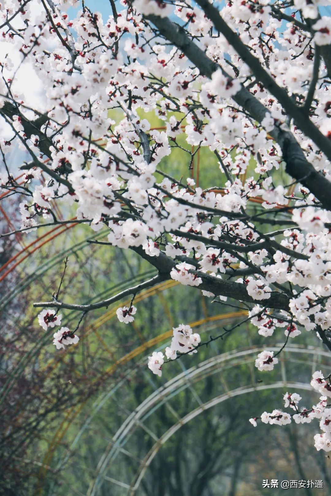 二环，是最新的“老”西安，也藏着美好生活“天花板”