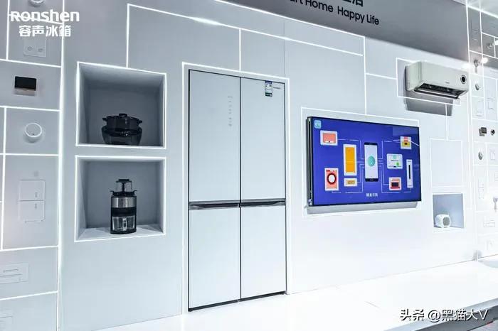 容声60cm超薄嵌入式冰箱,容声嵌入式冰箱型号推荐