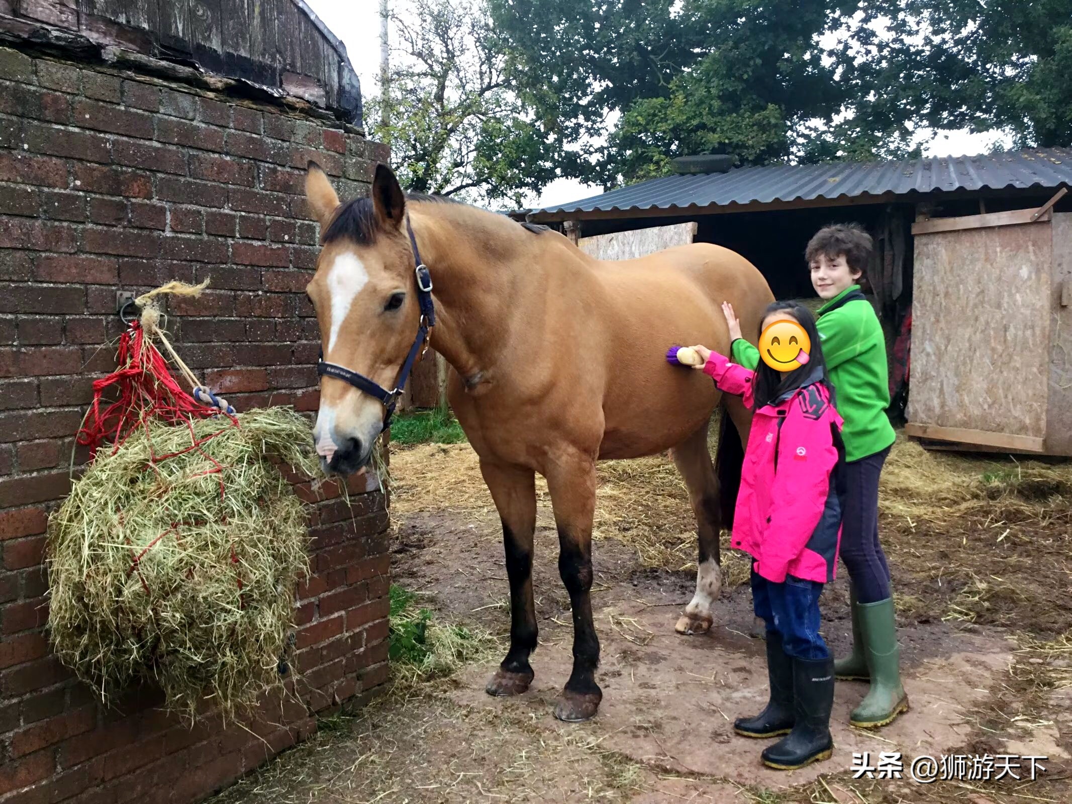 英国陪读活动,英国陪读的日常
