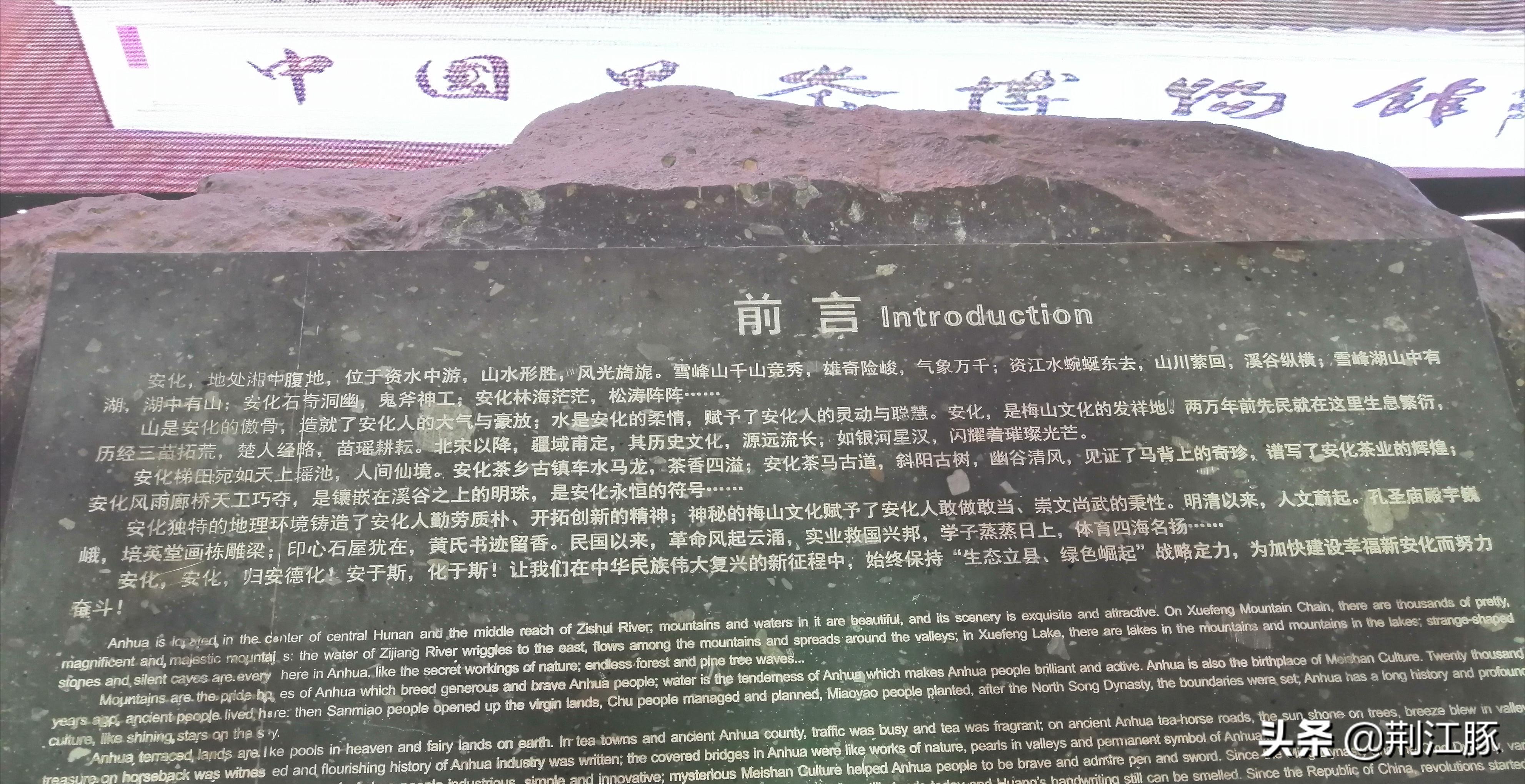 时隔215天,我再次来到这里,了解安化黑茶的前世今生