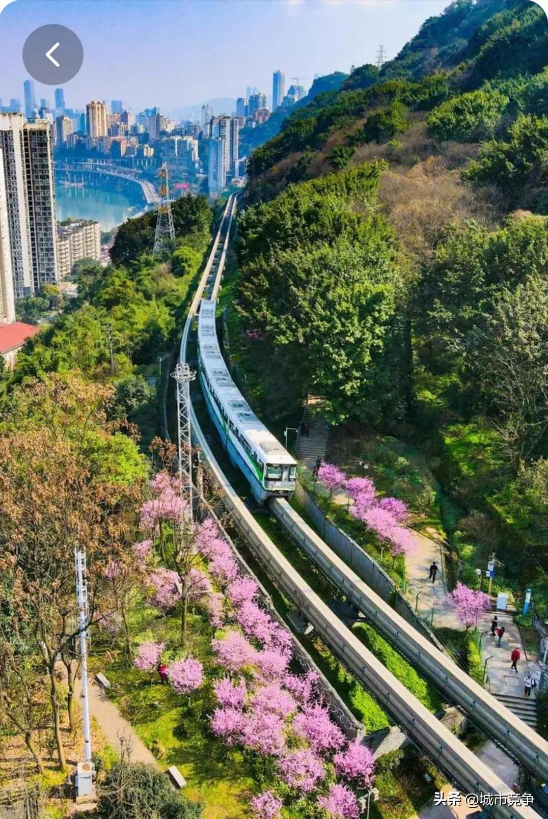 成都重庆哪个有意思,分不清成都和重庆