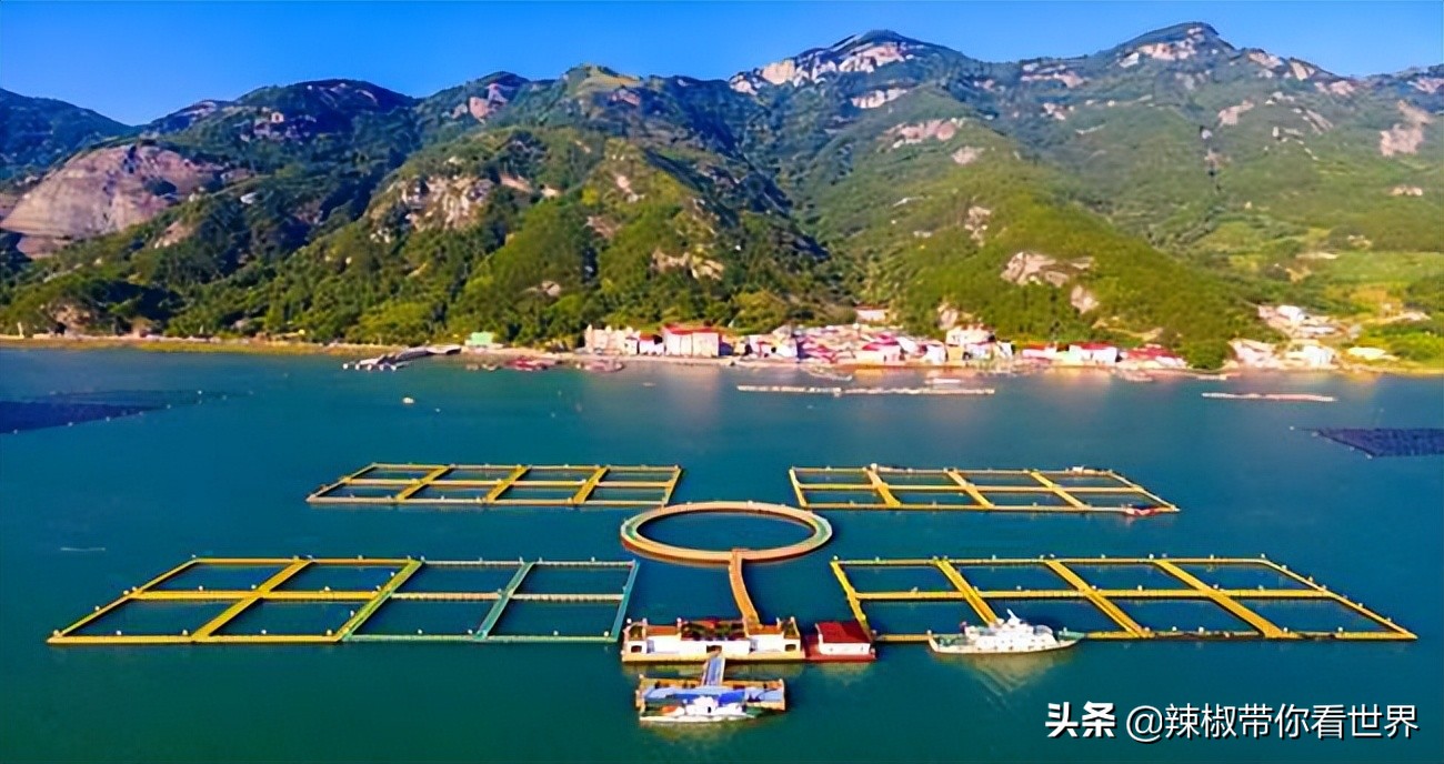 宁德大黄鱼之乡攻略,霞浦大黄鱼之乡图片