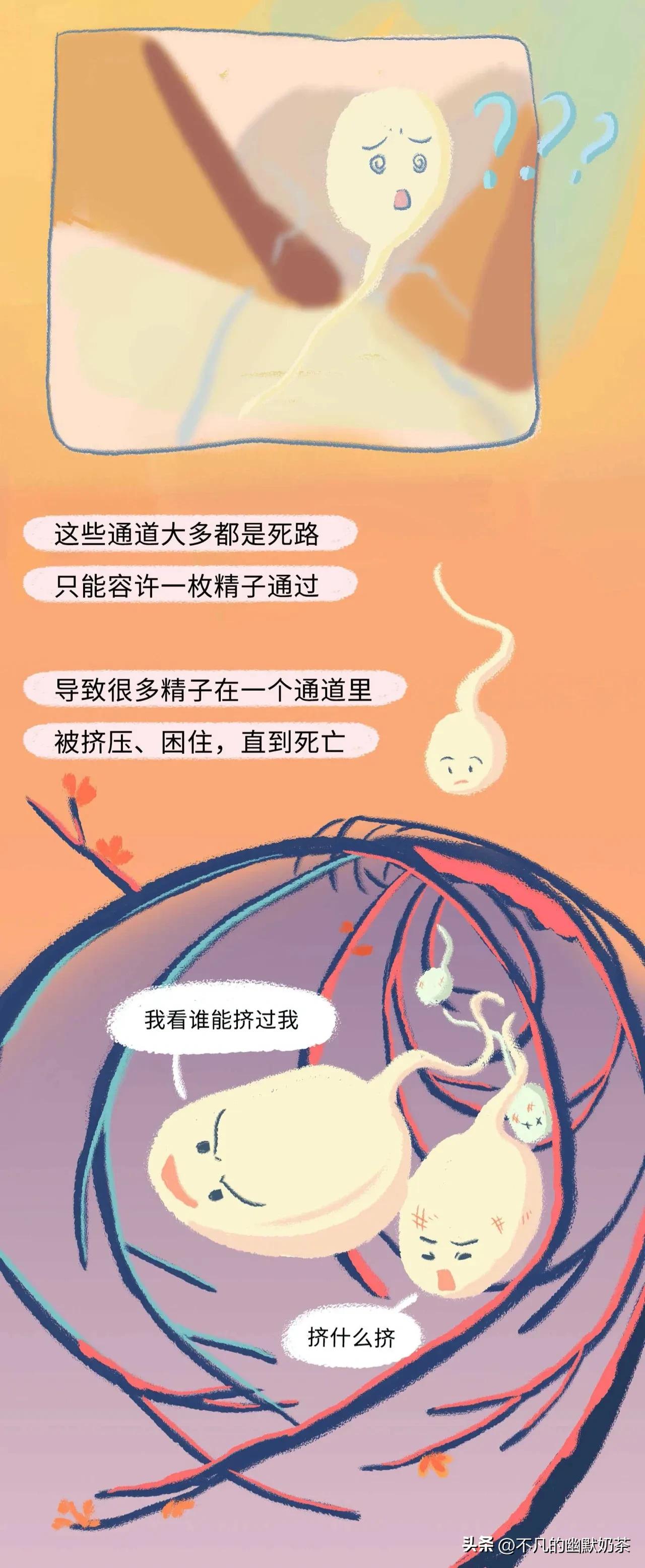 （漫画解说）精子进入女性体内的全过程，太神奇了！