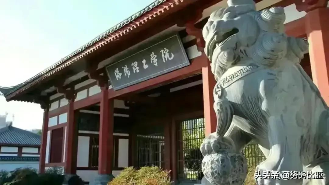 洛阳理工学院坠楼事件原因,洛阳理工学生坠楼事件最新消息