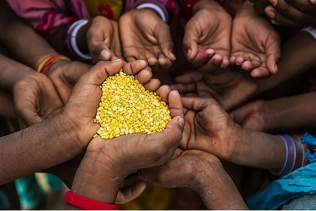 宁愿“亏本”,美国仍要向中国出口粮食,背后到底有何“猫腻”?