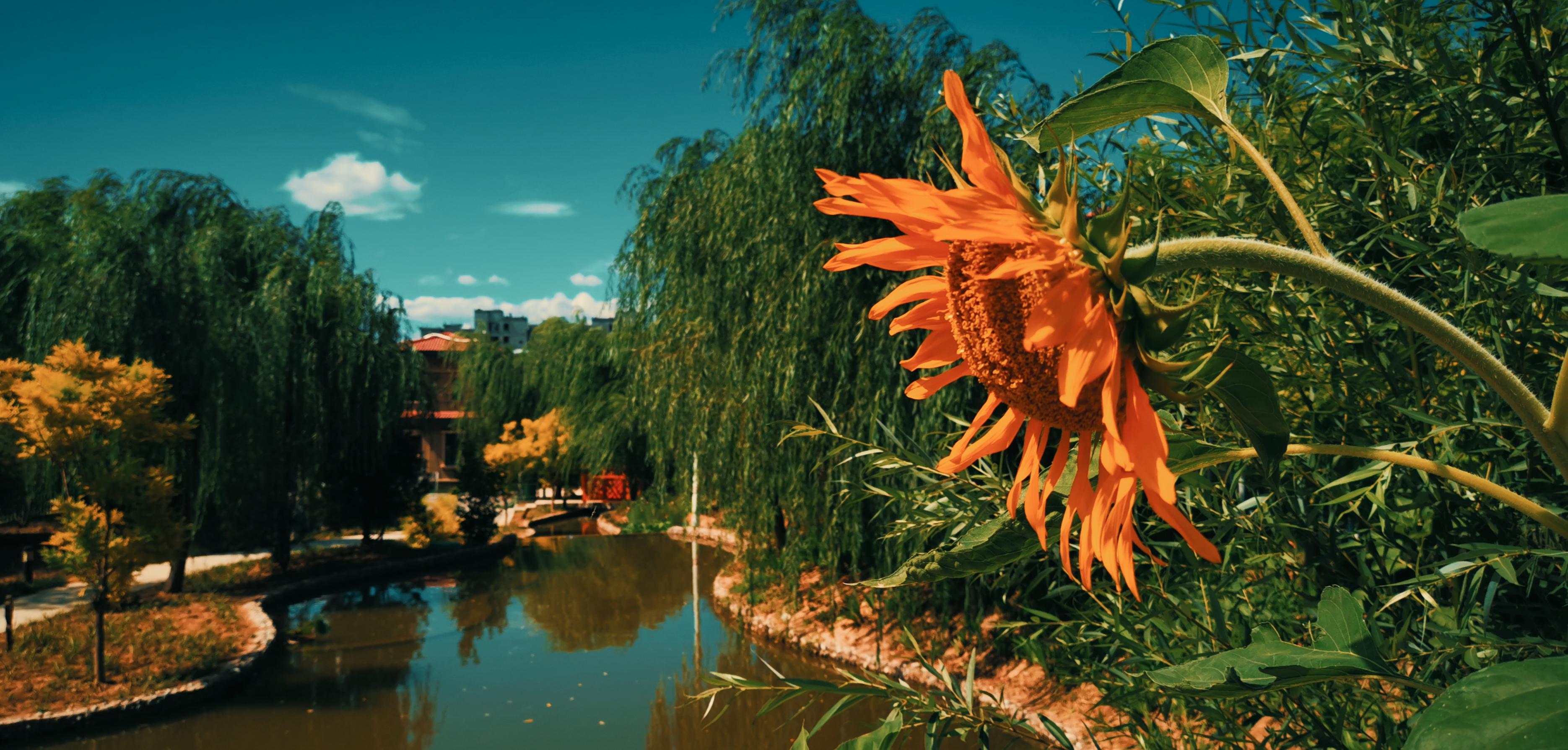 胆小害怕紧张焦虑胡思乱想,焦虑时怎么样停止胡思乱想