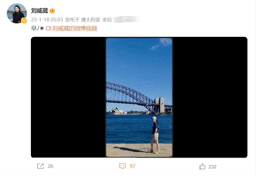 刘威葳年轻照,刘威葳走路视频