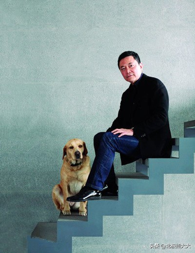 从贤妻到女强人刘涛都经历了什么,贤妻刘涛的情感往事