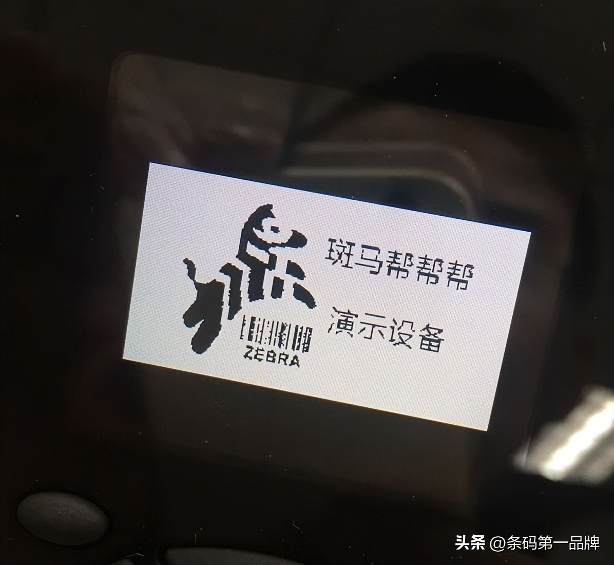 斑马打印机zebra怎么打印不出来,zebra斑马zt210打印机